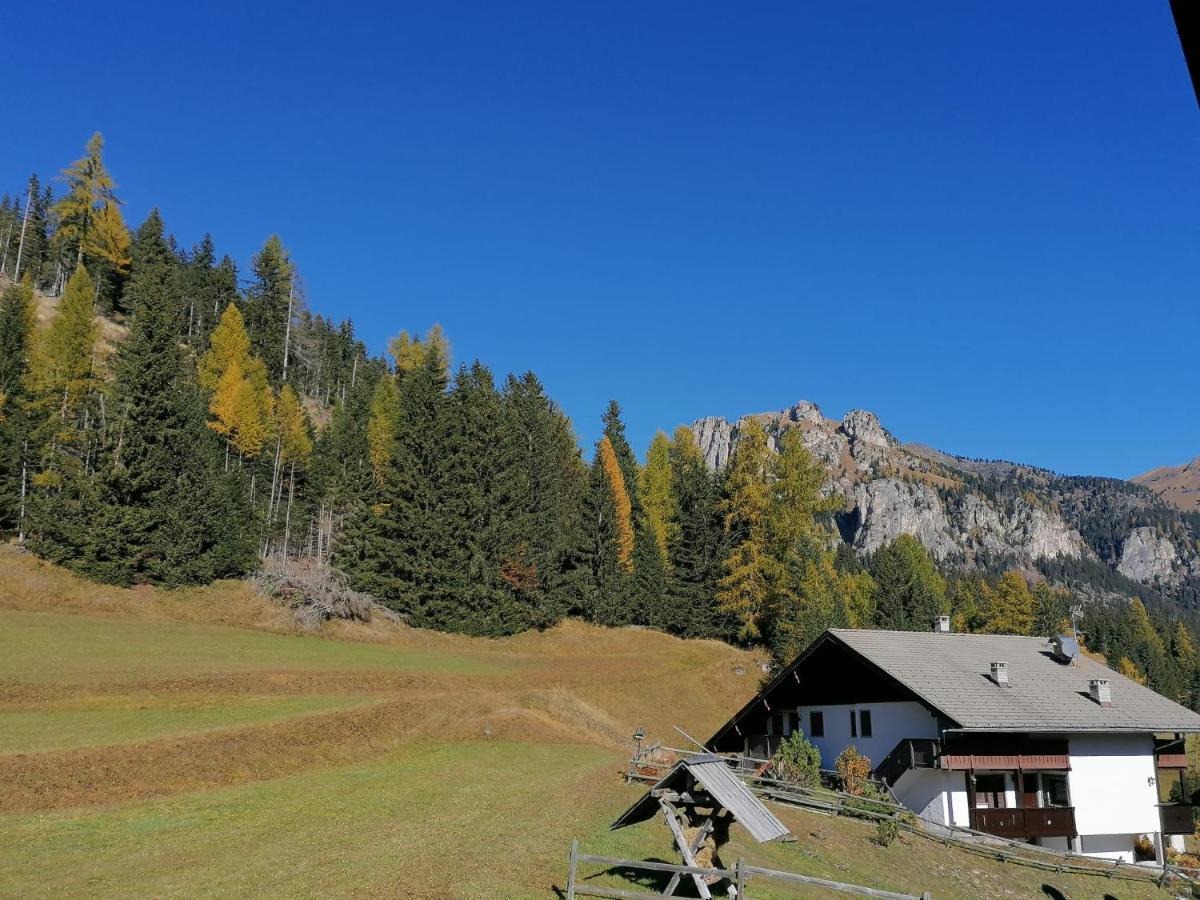 Chalet Relax Pozza di Fassa Extérieur photo